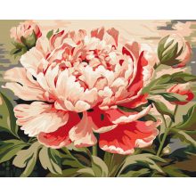Kivirult elegancia - Számfestő készlet kereten 40x50