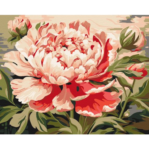 Kivirult elegancia - Számfestő készlet kereten 40x50