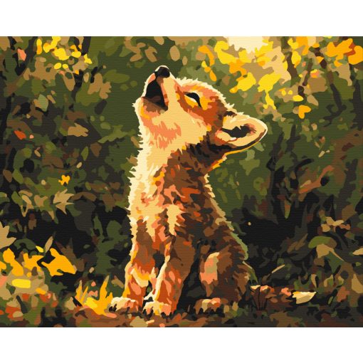 Róka kölyök - Számfestő készlet kereten 40x50