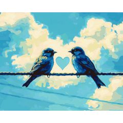 Szárnyas szerelem - Számfestő készlet kereten 40x50