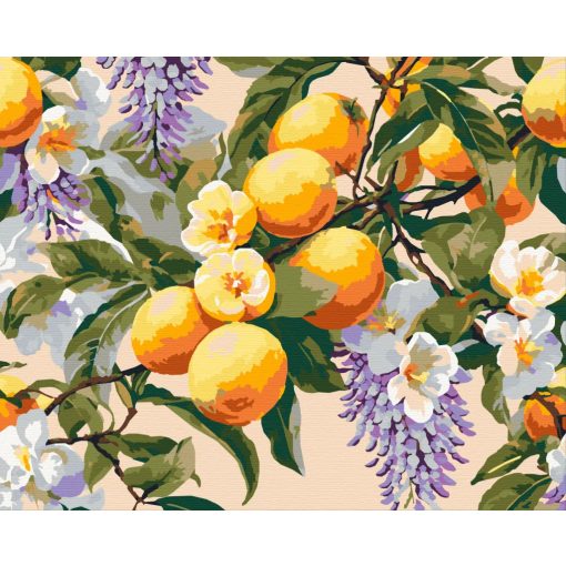 A napfény ízei - Számfestő készlet kereten 40x50
