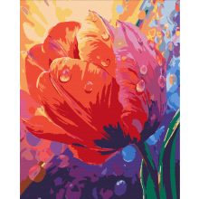 Harmatcseppek a szirmokon - Számfestő készlet kereten 40x50