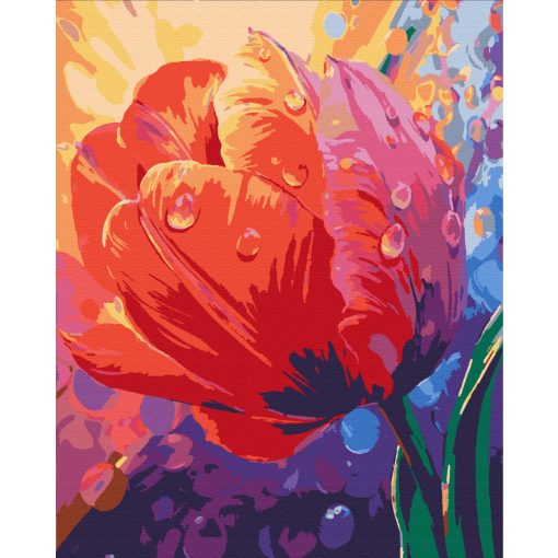 Harmatcseppek a szirmokon - Számfestő készlet kereten 40x50