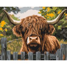 Skócia bocija - Számfestő készlet kereten 40x50