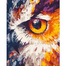 A bagoly tekintete - Számfestő készlet kereten 40x50