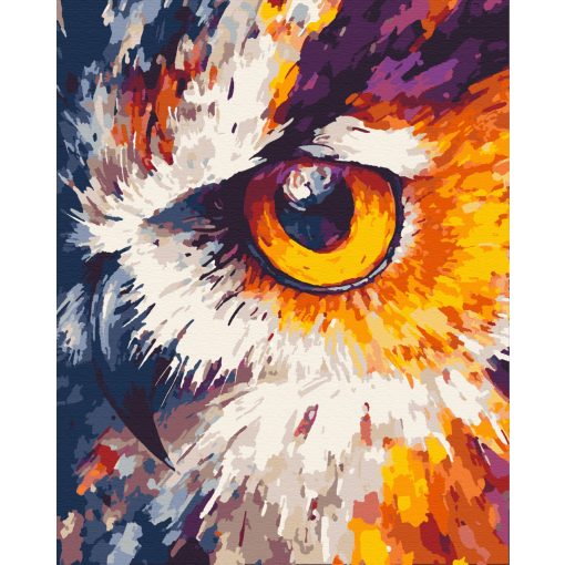 A bagoly tekintete - Számfestő készlet kereten 40x50