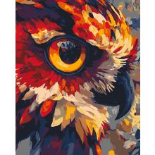 Lángoló pillantás - Számfestő készlet kereten 40x50