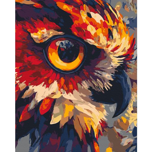 Lángoló pillantás - Számfestő készlet kereten 40x50