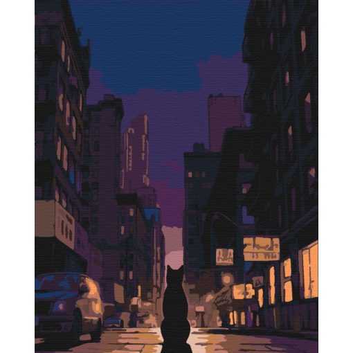 Éjjeli vándor - Számfestő készlet kereten 40x50