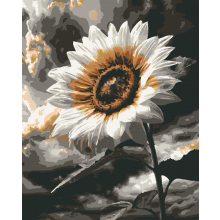 Remény virága - Számfestő készlet kereten 40x50