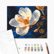 Tiszta elegancia - Számfestő készlet kereten 40x50