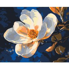 Tiszta elegancia - Számfestő készlet kereten 40x50