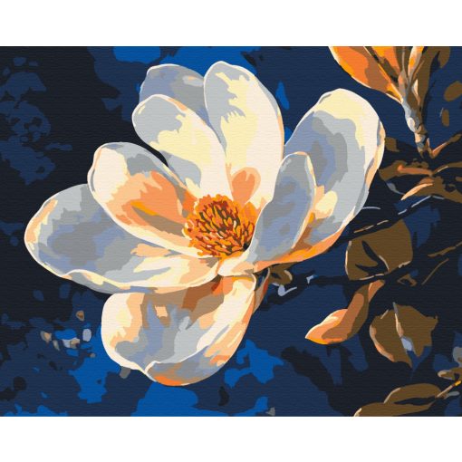 Tiszta elegancia - Számfestő készlet kereten 40x50