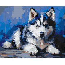 Hűséges kis husky - Számfestő készlet kereten 40x50