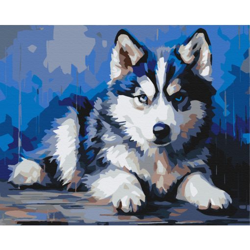 Hűséges kis husky - Számfestő készlet kereten 40x50