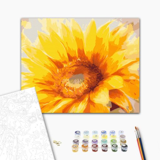 Aranyszirmok tánca - Számfestő készlet kereten 40x50