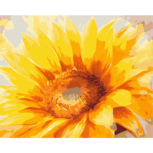 Aranyszirmok tánca - Számfestő készlet kereten 40x50