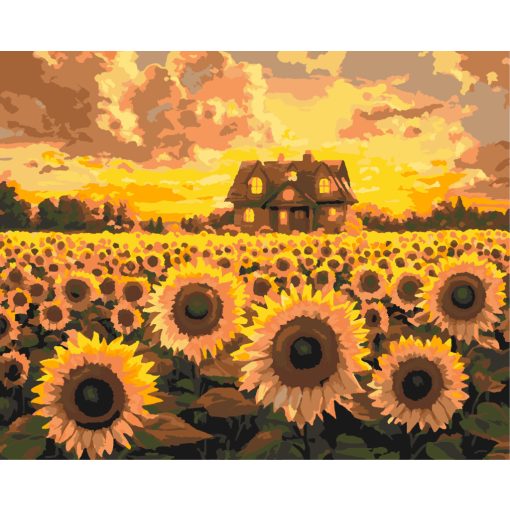Napraforgók otthona - Számfestő készlet kereten 40x50