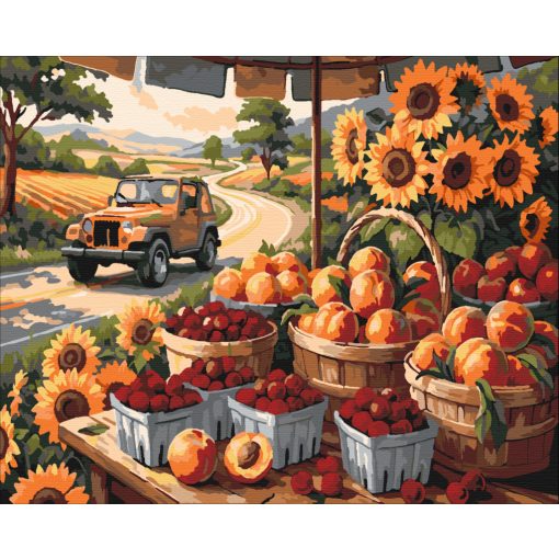 Nyári ízek és utak - Számfestő készlet kereten 40x50