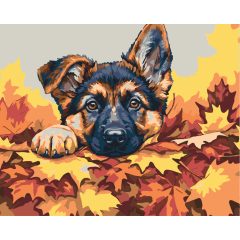   Bújócska a levelek között - Számfestő készlet kereten 40x50