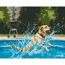 Nyári kutyakaland - Számfestő készlet kereten 40x50