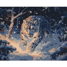 Fagyos tekintet - Számfestő készlet kereten 40x50