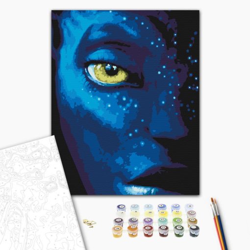 Látlak - Számfestő készlet kereten 40x50