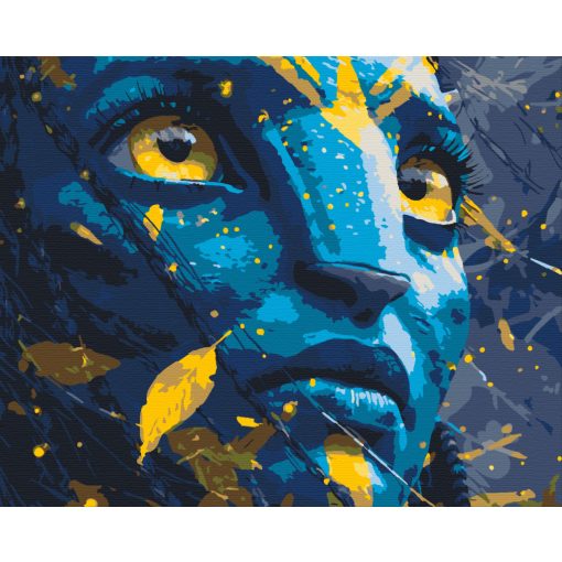 Égi tekintet - Számfestő készlet kereten 40x50