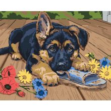 Délutáni rágcsa - Számfestő készlet kereten 40x50