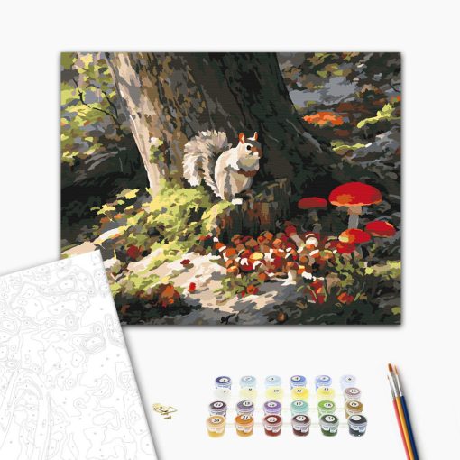 Mókus-móka - Számfestő készlet kereten 40x50