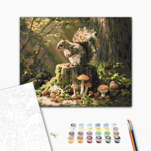 Mókuskaland - Számfestő készlet kereten 40x50