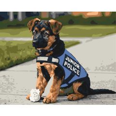 Rendfenntartó tappancs - Számfestő készlet kereten 40x50