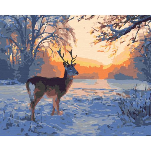 Téli csend - Számfestő készlet kereten 40x50