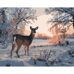 Hajnali pillantás - Számfestő készlet kereten 40x50