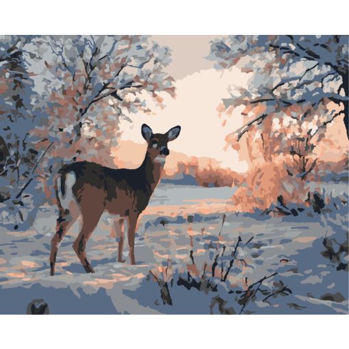 Hajnali pillantás - Számfestő készlet kereten 40x50