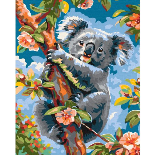 Koala úr - Számfestő készlet kereten 40x50