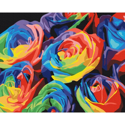 Szivárvány rózsák - Számfestő készet kereten 40x50