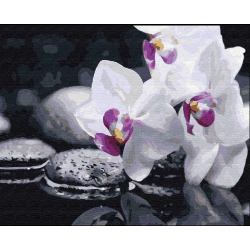 Zen virágok - Számfestő készlet kereten 40x50_