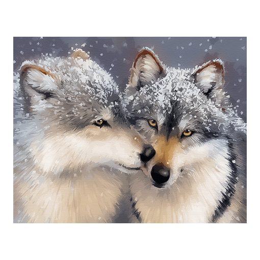 Farkas szerelem - Számfestő készlet kereten 40x50