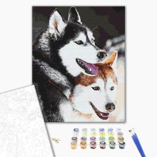 Husky szerelem - Számfestő készlet kereten 40x50