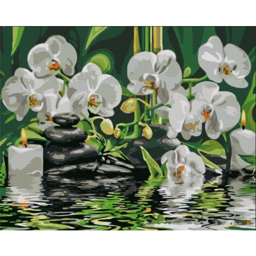 Orchideák nyugalma - Számfestő készlet kereten 40x50_