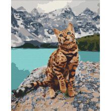 Cica a hegyekben - Számfestő készlet kereten 40X50