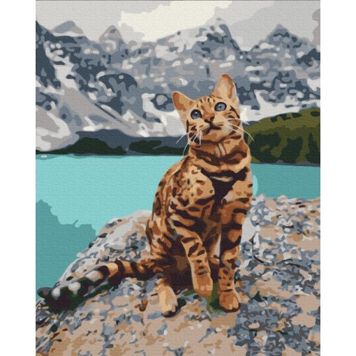 Cica a hegyekben - Számfestő készlet kereten 40X50