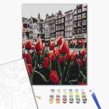 Tulipánok Amszterdamban - Számfestő készlet kereten 40x50
