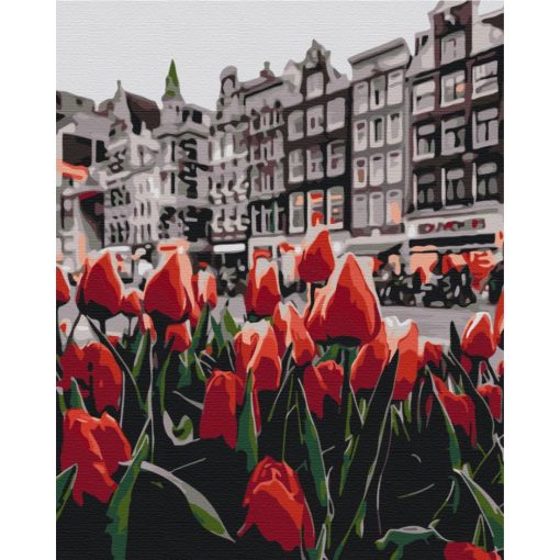 Tulipánok Amszterdamban - Számfestő készlet kereten 40x50