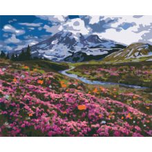 Alpesi mező - Számfestő készlet kereten 40x50