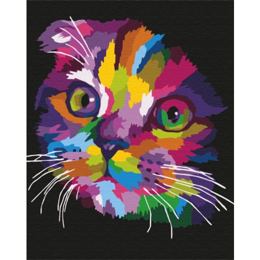 Szivárvány cica - Számfestő készlet kereten 40x50