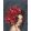 Hölgy rózsákkal - Számfestő készlet kereten 40x50
