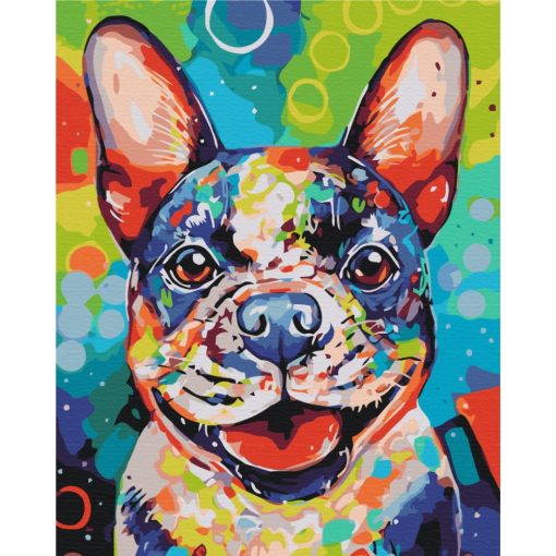 Pop art kutyus - Számfestő készlet kereten 40x50_