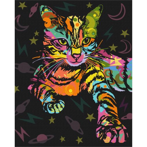 Űr cica - Számfestő készlet kereten 40x50